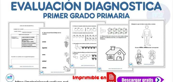 Evaluaci N Diagnostica Primer Grado Primaria 40348 Hot Sex Picture 7107