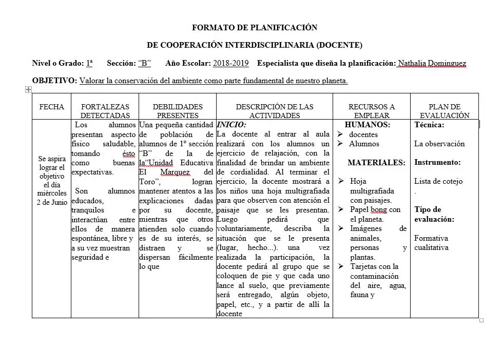 Planificación Diaria De Clase – Formato Docente I Material Educativo