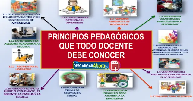 Principios Pedagogicos Que Todo Docente Debe Conocer