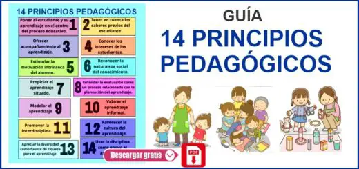 14 Principios Pedagógicos I Material Educativo 5703