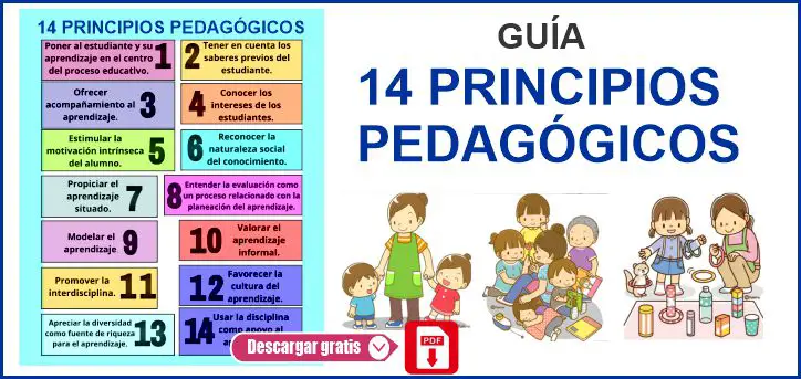 14 Principios pedagógicos