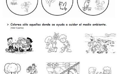 EVALUACIÓN DIAGNOSTICA  1°, 2,° 3°, 4°, 5°, 6° Grado de Primaria