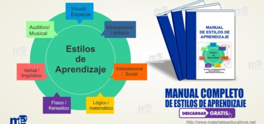 MANUAL DE ESTILOS DE APRENDIZAJE