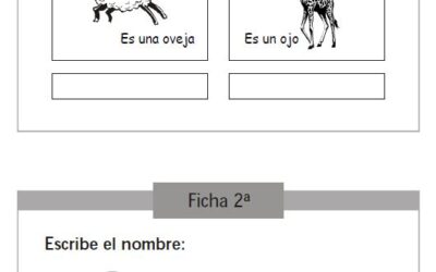 El aprendizaje de la LectoEscritura