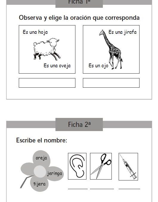 El aprendizaje de la LectoEscritura