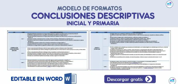 CONCLUSIONES DESCRIPTIVAS INICIAL Y PRIMARIA