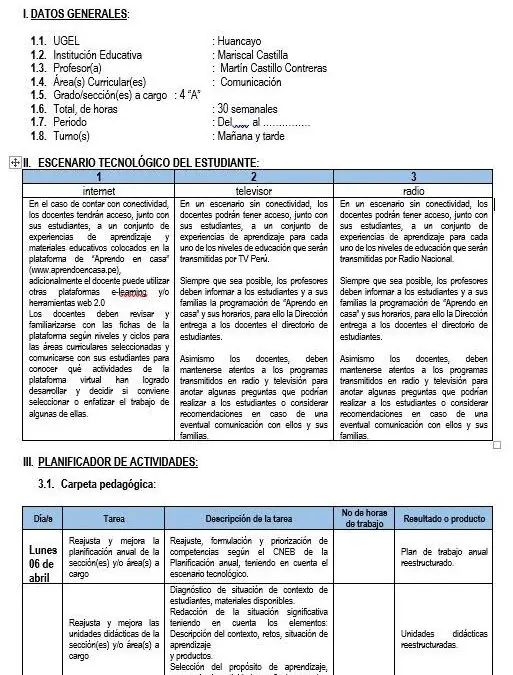 MODELO PLAN DE TRABAJO REMOTO DEL DOCENTE POR HORAS