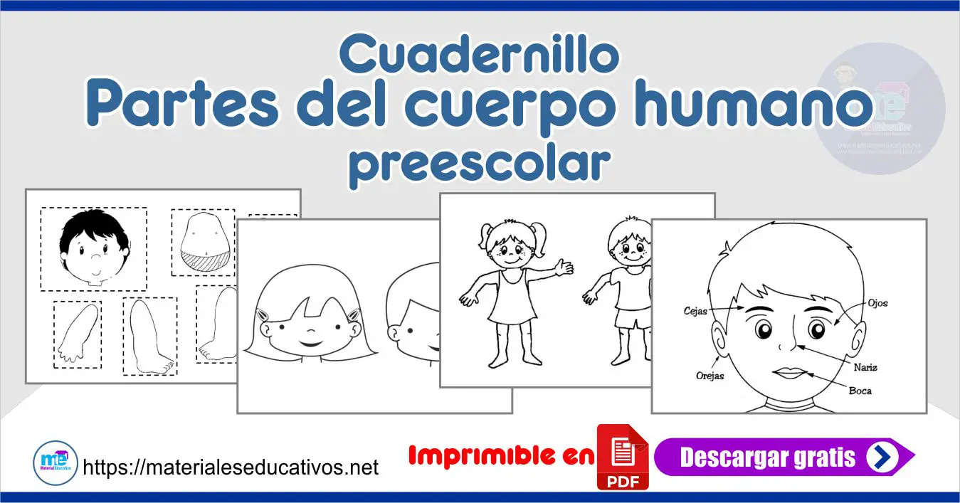 Cuadernillo Para Trabajar Las Partes Del Cuerpo Humano En Preescolar 6015