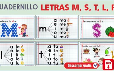 Cuadernillo letras m-s-t-l-r Primer Grado Básico