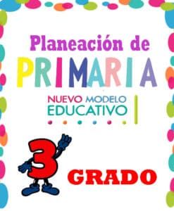 planeacion-primaria