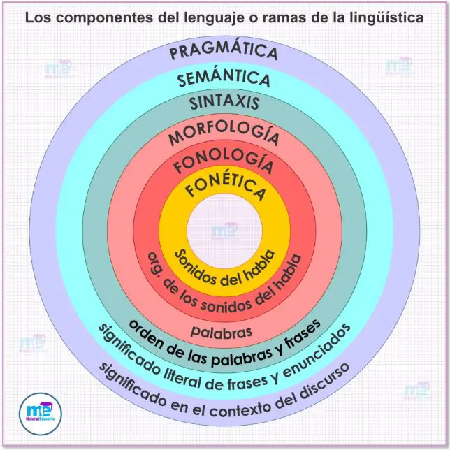 Los componentes del lenguaje o ramas de la lingüística