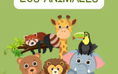 Clasificacion de los animales