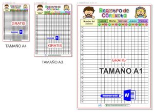 REGISTRO DE CONDUCTA - Materiales Educativos